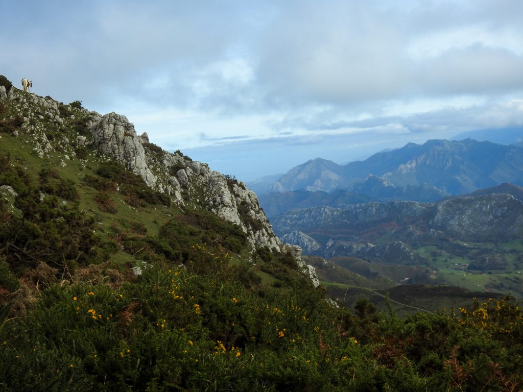 Sunrise over the Picos de Europa from Pienzu, Asturias